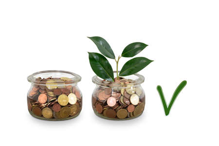 डेट फंड बनाम इक्विटी फंड: किसे चुनें?
