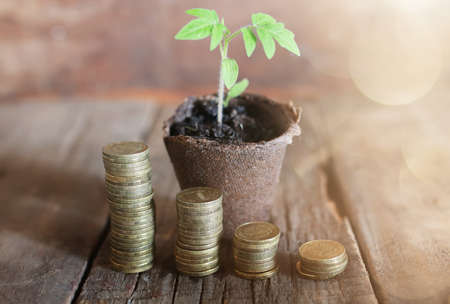 REITs में निवेश करने के लिए आवश्यक योग्यता और प्रक्रिया: एक विस्तृत मार्गदर्शिका
