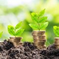 सूद पुनर्निवेश (Interest Reinvestment) टैक्स फ्री बॉन्ड्स में कैसे करें?