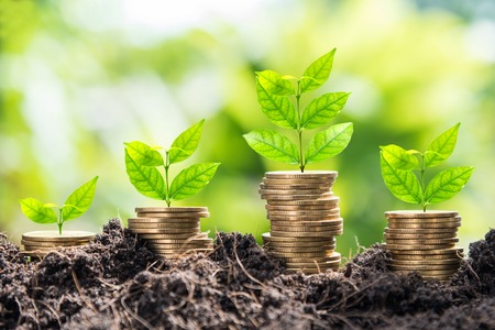 सूद पुनर्निवेश (Interest Reinvestment) टैक्स फ्री बॉन्ड्स में कैसे करें?