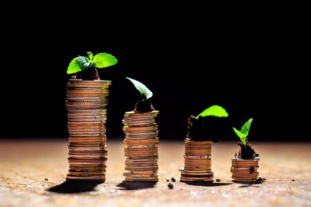 What drives mid & small cap growth in India’s share market?