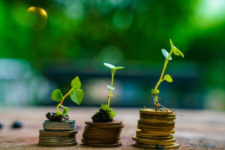 Importance of Life Cover in ULIP & How It’s Calculated in India