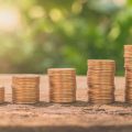 Strategies for Diversifying in Indian Mid & Small Cap Stocks