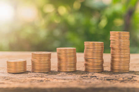 Strategies for Diversifying in Indian Mid & Small Cap Stocks
