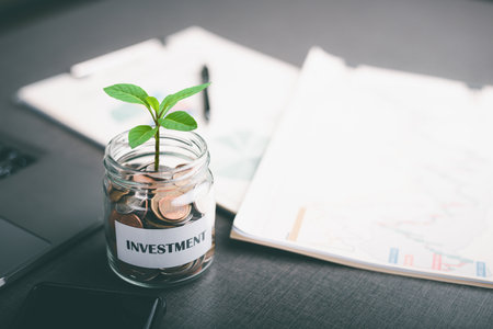 Hybrid Funds: Role in Navigating India’s Economic Ups and Downs