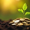 Is investing in IPOs beneficial for long-term wealth creation in India?
