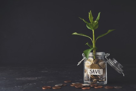 Best Endowment Plans in India: Top Indian Insurance Companies for Savings & Life Cover