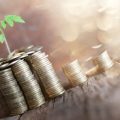 Best Tax-Free Bonds in India to Invest in 2025