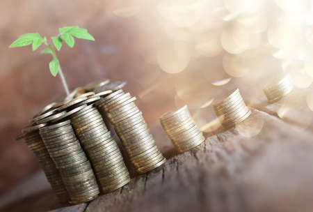Best Tax-Free Bonds in India to Invest in 2025